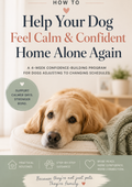 Dog Separation Anxiety Guide: Help Your Dog Feel Calm & Confident Home Alone